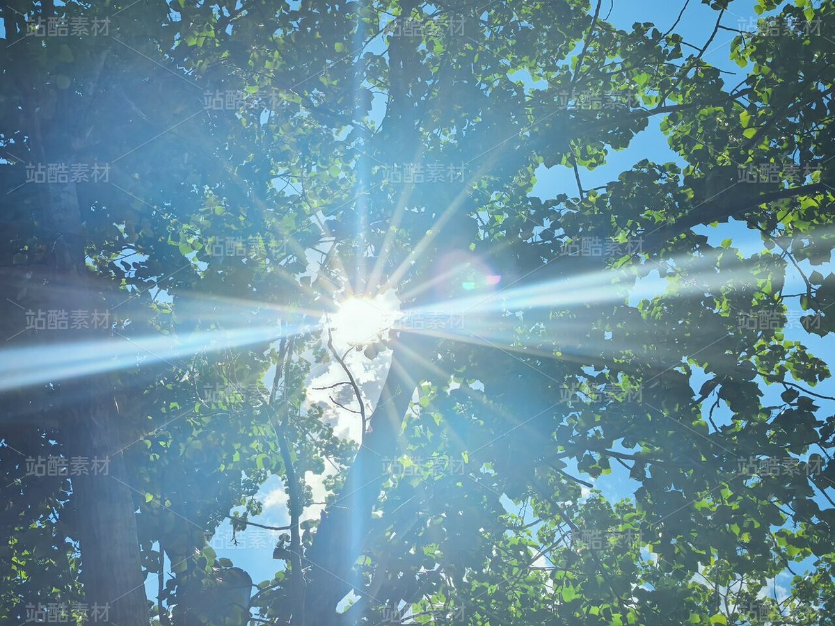 夏日治愈系自然风景摄影素材(主预览-13091213) - 未分类 - 站酷设计师zGcw336HjD原创素材 - 站酷ZCOOL