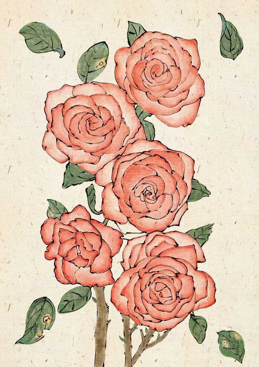 复古淡彩线描红玫瑰｜中式国风花卉手绘插画