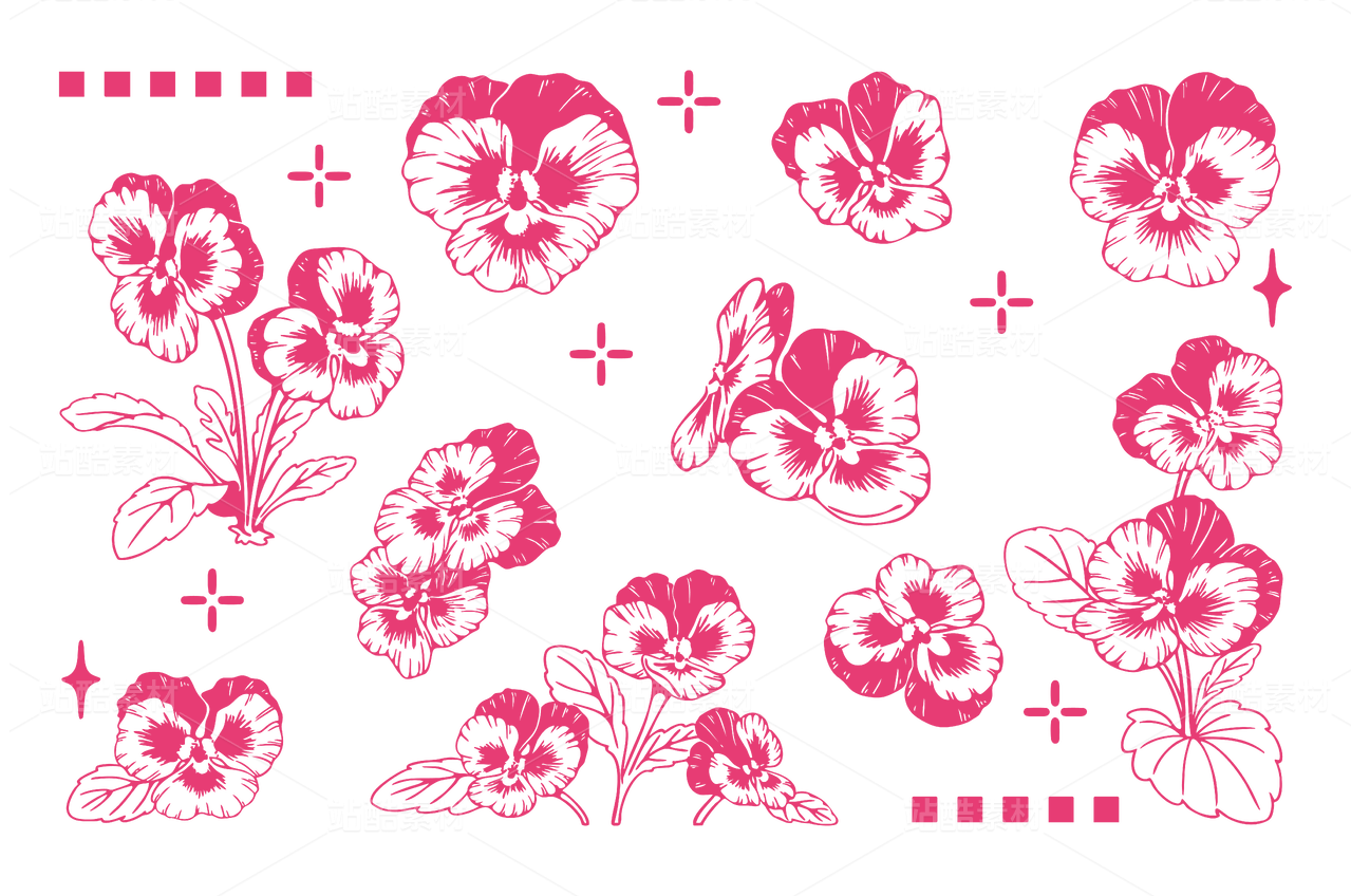 17-三色堇