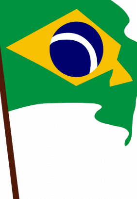 巴西国旗上极矢量图
