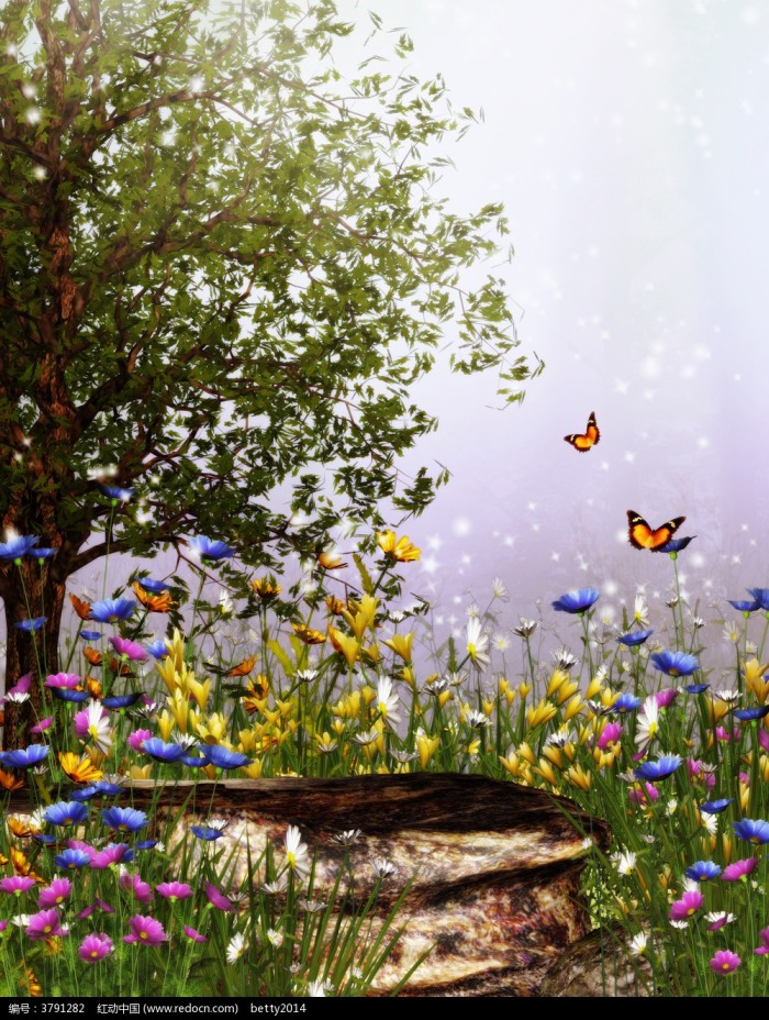 森林花草树木背景图片