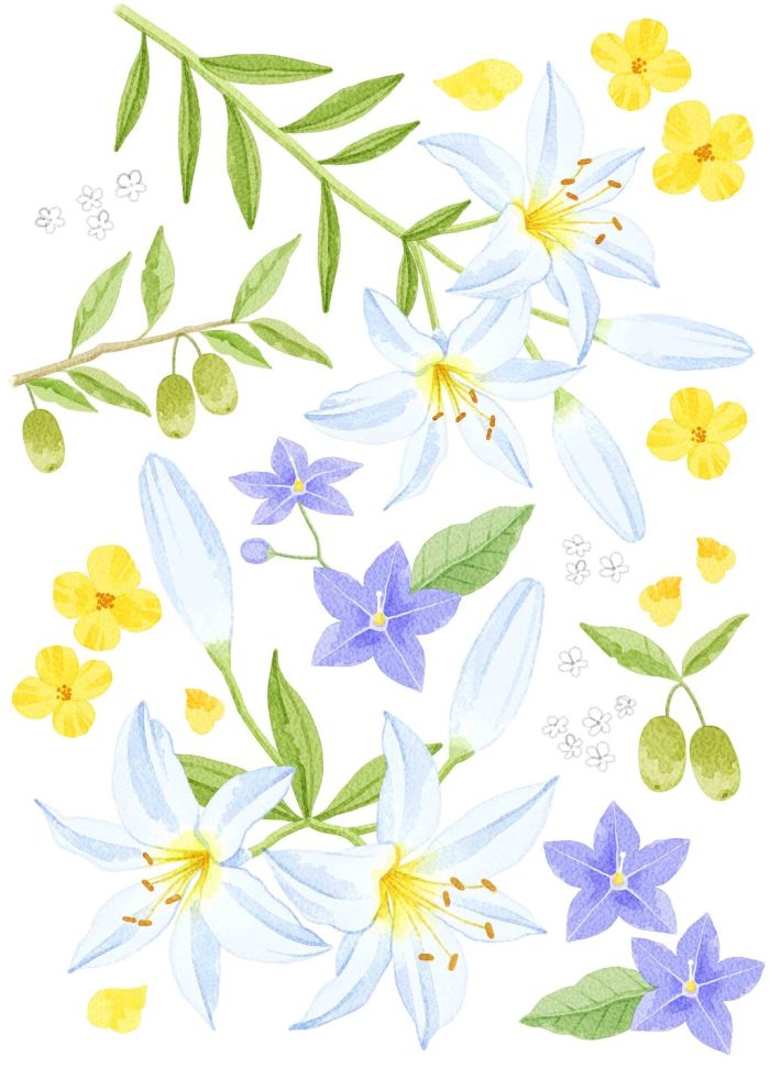 花朵移门模板下载 - 搜素材 - 站酷 (zcool)