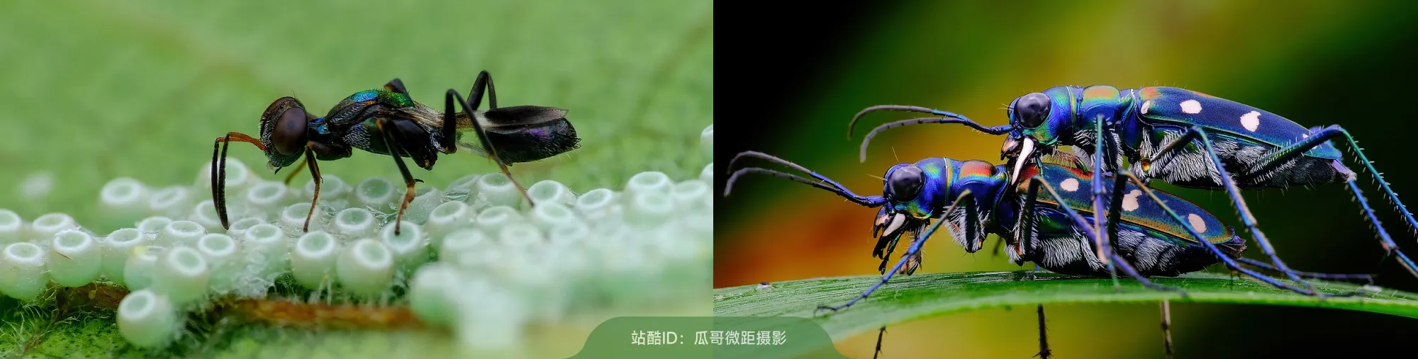 站酷社区首页 banner 8