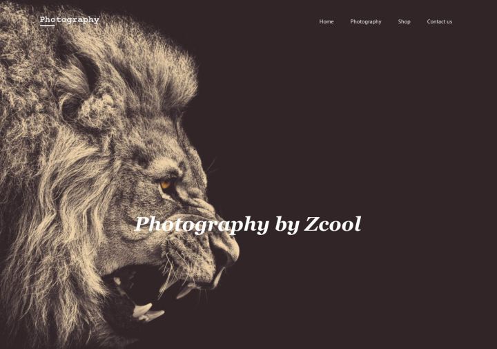 简约摄影类模板