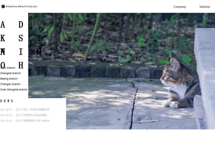 简约大气企业个人官网